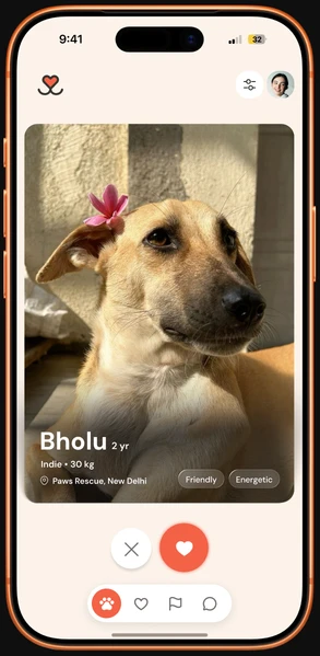 Discover feed: a large photo card of Bholu, 2 years, with pass and like buttons